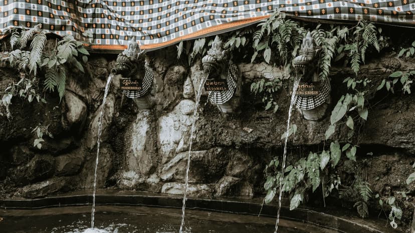 Main ceremony highlight